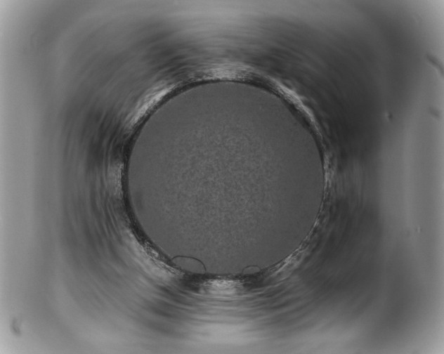 X0000100850154200806201222
