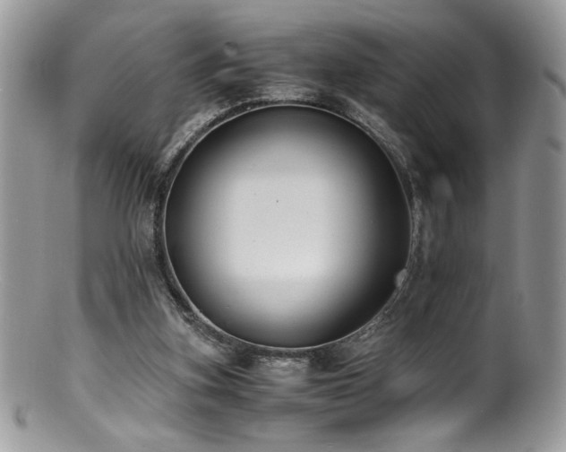 X0000100850155200806201222