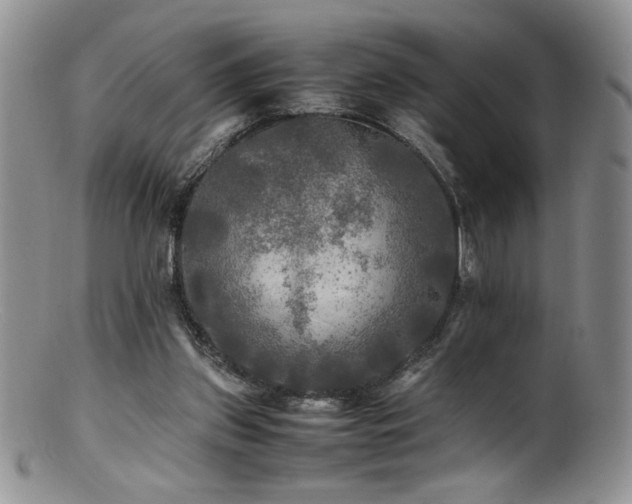 X0000100850157200806201222