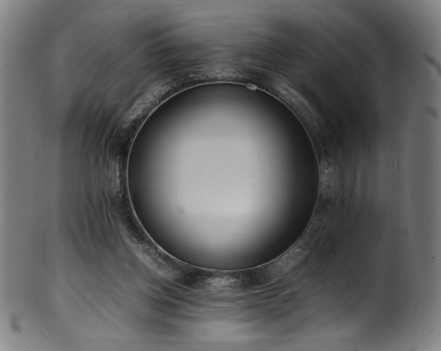 X0000100850158200806201222