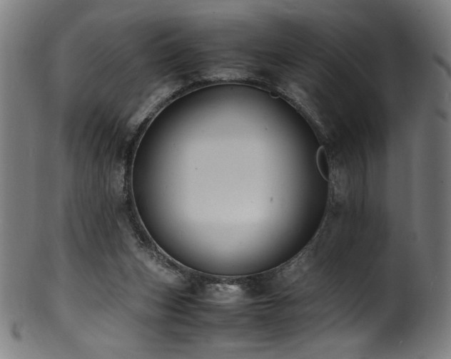 X0000100850159200806201222