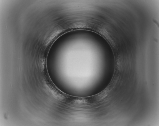 X0000100850160200806201222