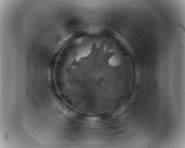 X0000100850161200806201222