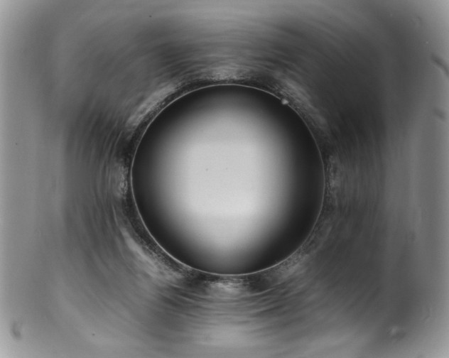 X0000100850164200806201222