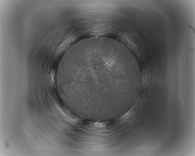 X0000100850166200806201222