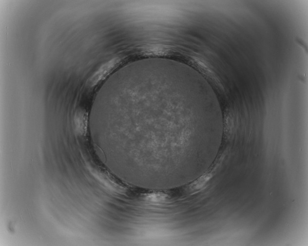 X0000100850168200806201222