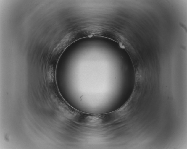 X0000100850170200806201223