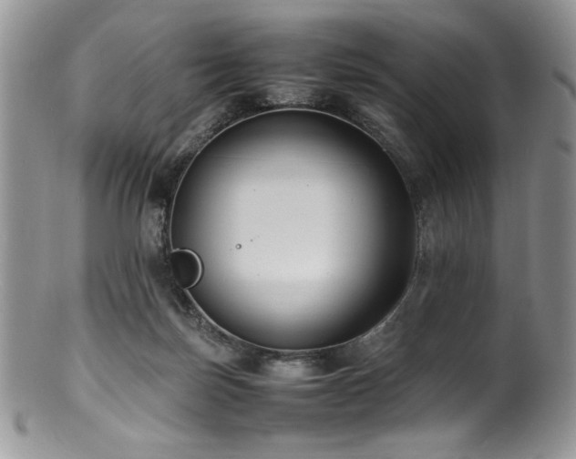 X0000100850171200806201223