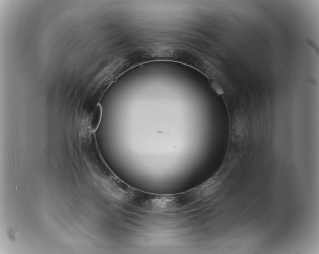X0000100850172200806201223