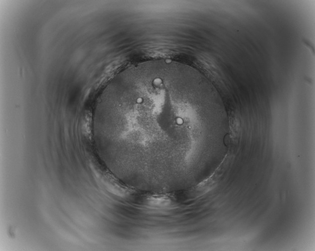 X0000100850175200806201223