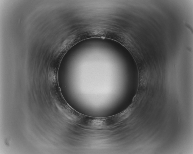 X0000100850176200806201223