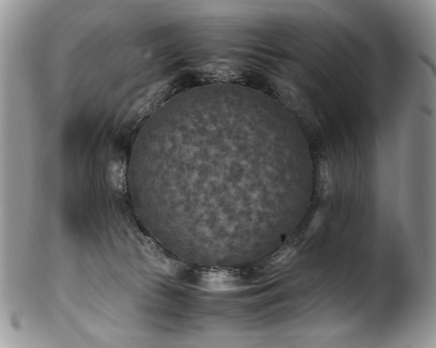 X0000100850177200806201223