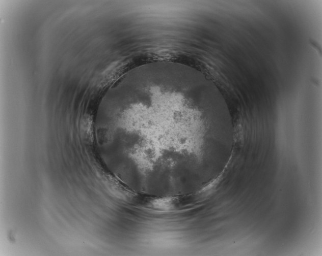 X0000100850178200806201223