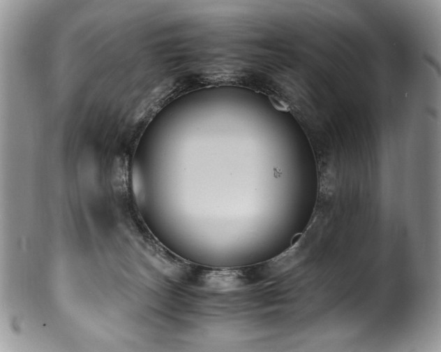 X0000100850179200806201223