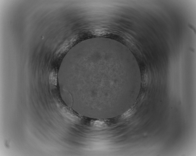 X0000100850180200806201223