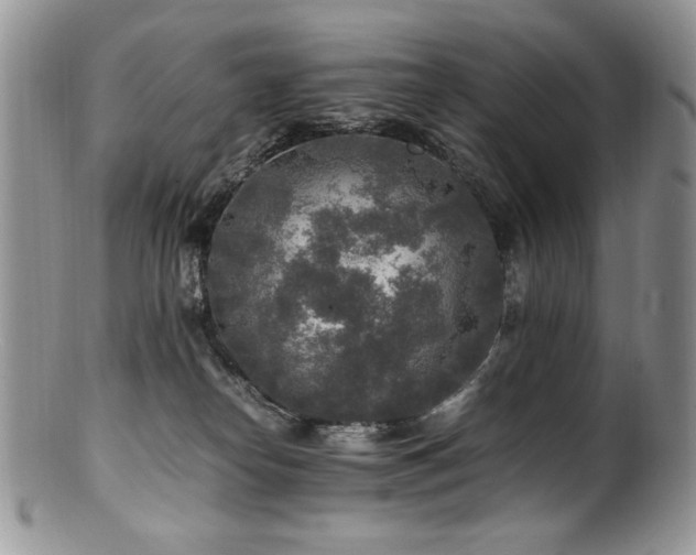 X0000100850182200806201223