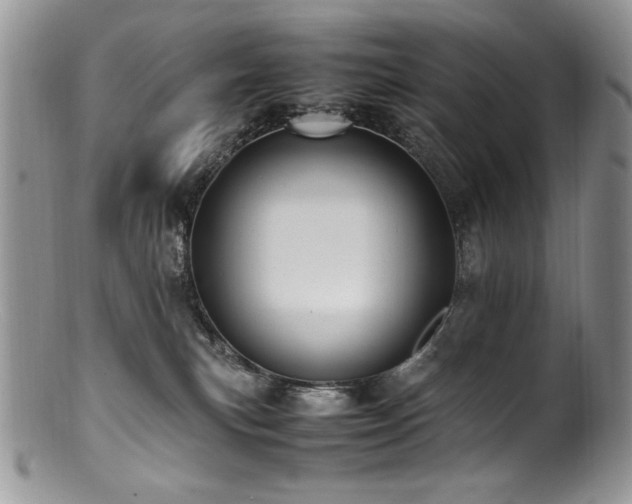 X0000100850183200806201223