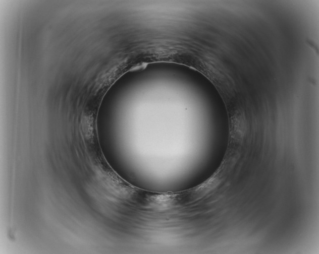 X0000100850184200806201223