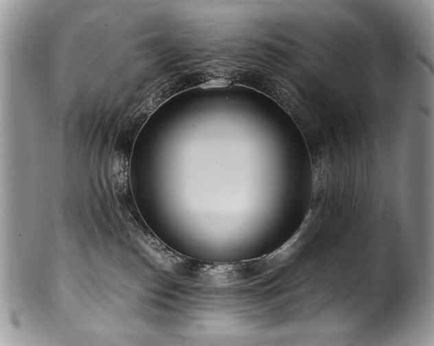 X0000100850186200806201223