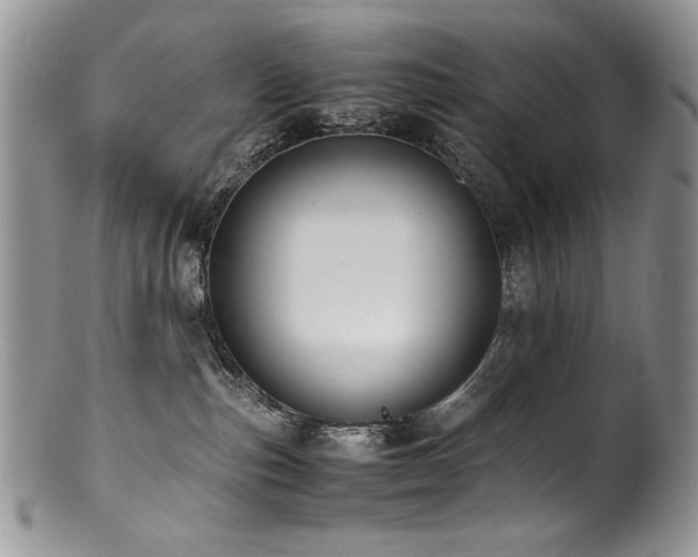 X0000100850187200806201223