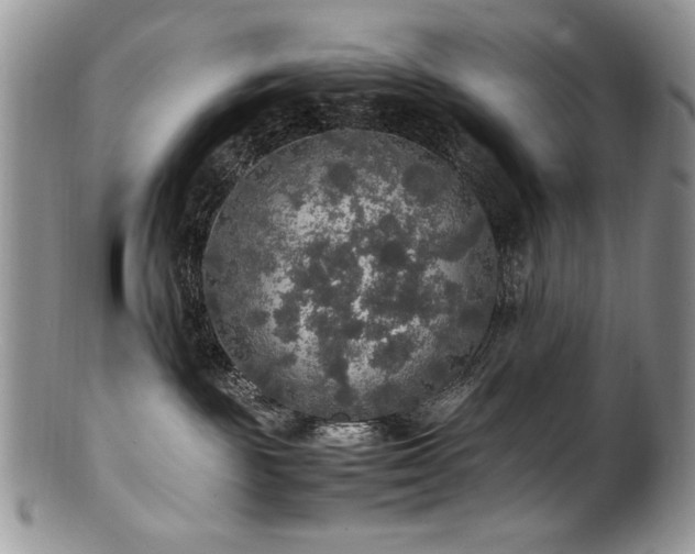 X0000100850189200806201223