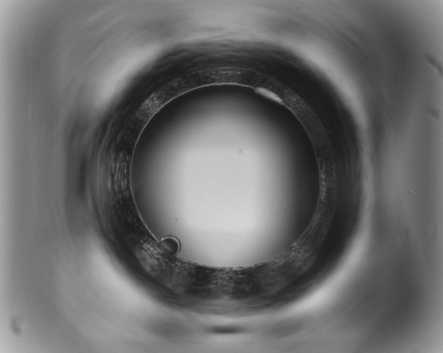 X0000100850190200806201223