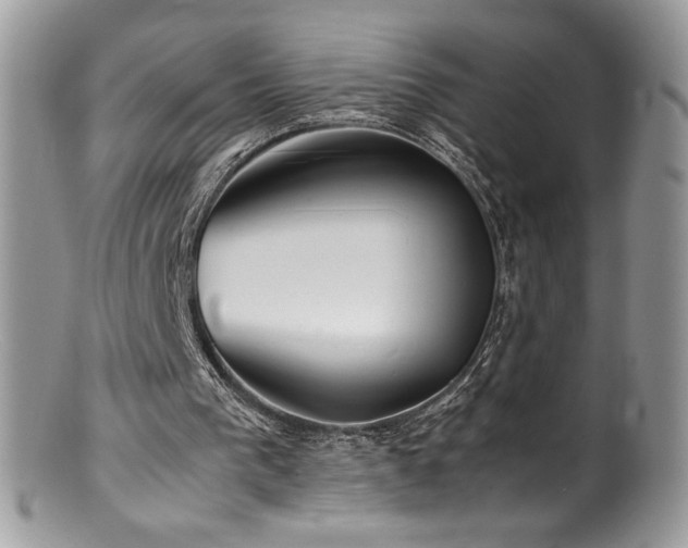 X0000100850193200806201222