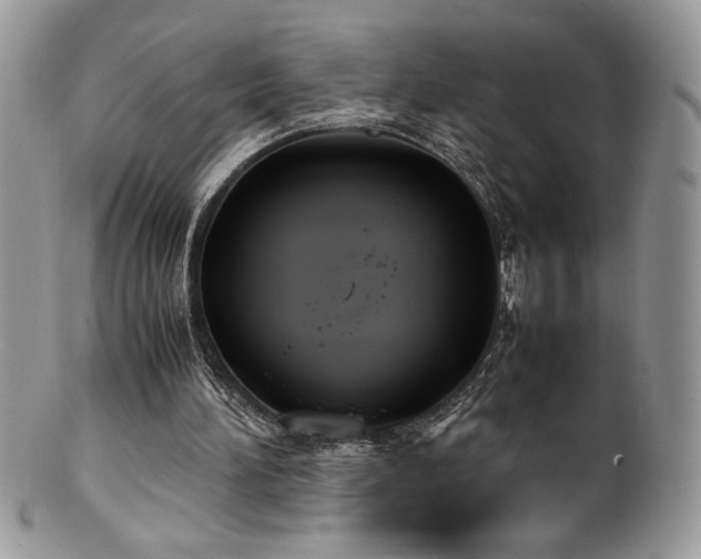 X0000100850196200806201222