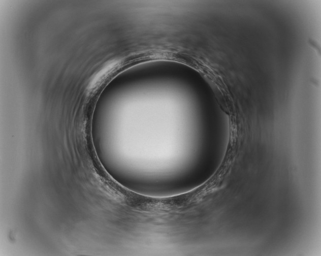 X0000100850197200806201222