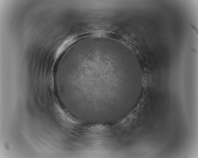 X0000100850198200806201222
