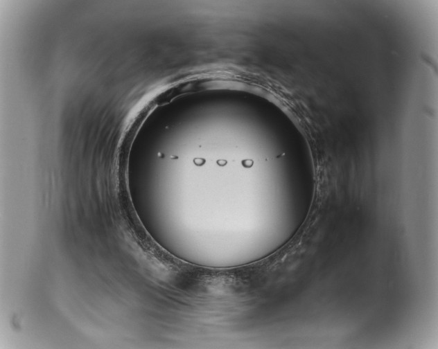 X0000100850200200806201222