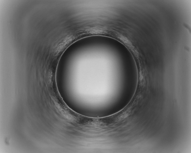 X0000100850201200806201222