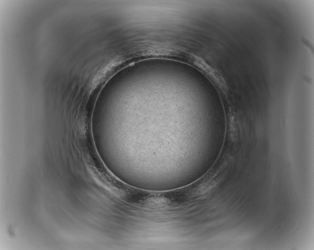 X0000100850203200806201222