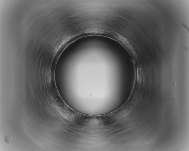 X0000100850204200806201222