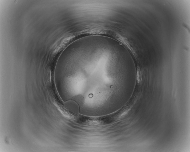 X0000100850205200806201222