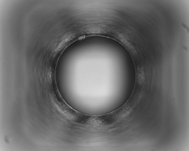 X0000100850207200806201222