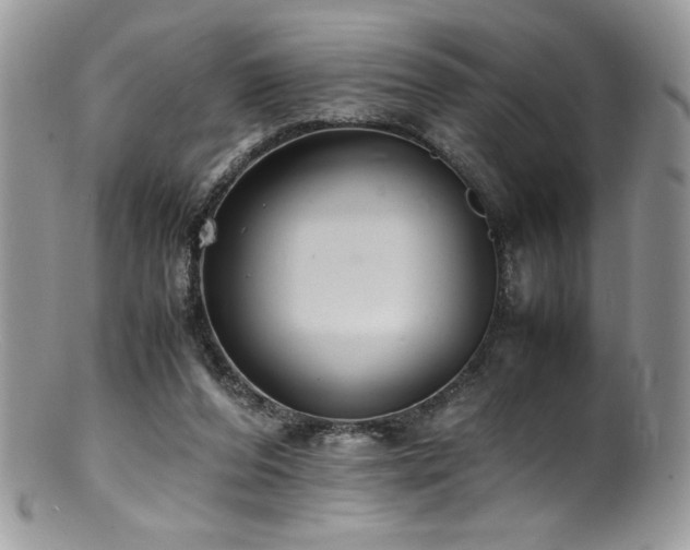 X0000100850208200806201222