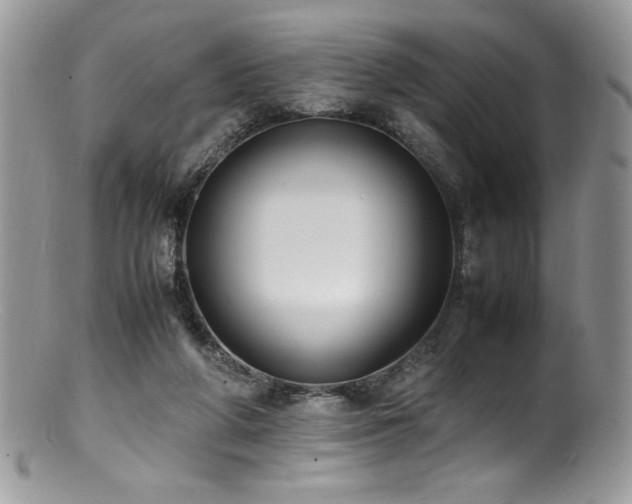 X0000100850210200806201222
