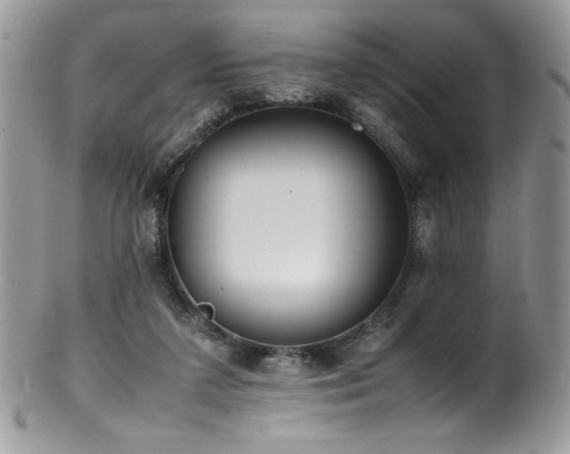 X0000100850211200806201222