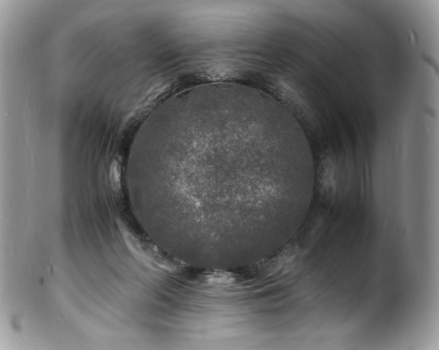 X0000100850214200806201222