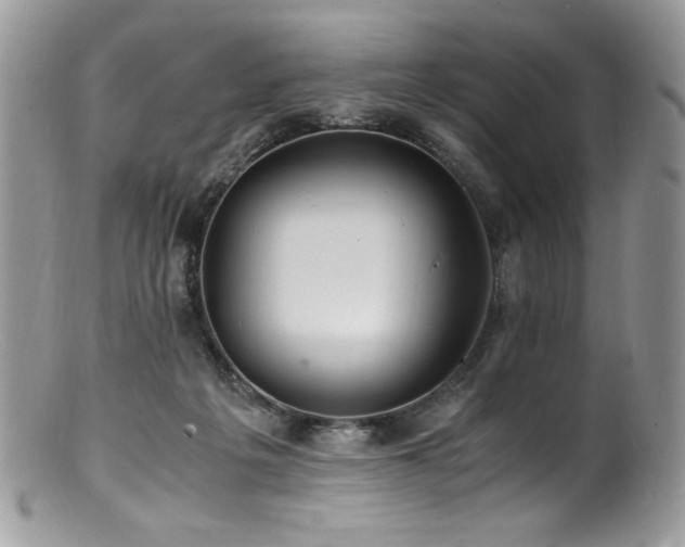X0000100850217200806201222