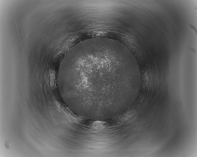 X0000100850222200806201222