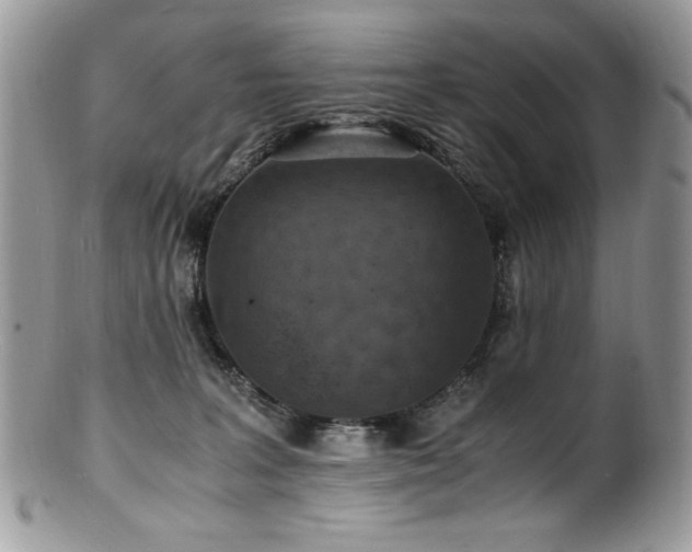 X0000100850227200806201222