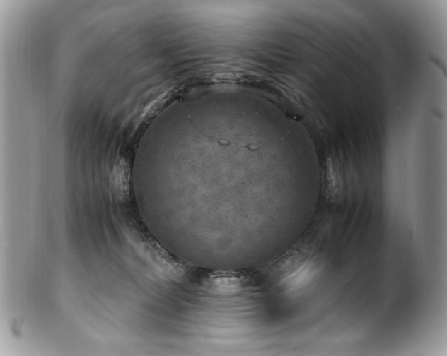 X0000100850228200806201222