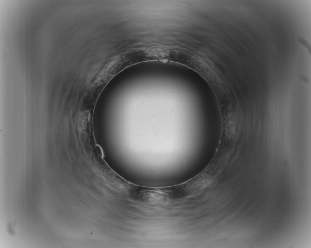 X0000100850229200806201222