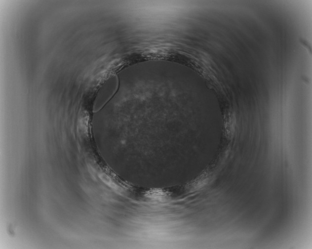 X0000100850231200806201222