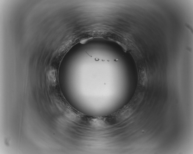 X0000100850232200806201222