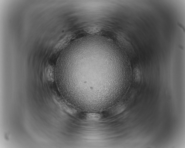 X0000100850234200806201222