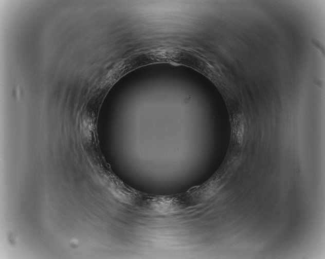 X0000100850235200806201222