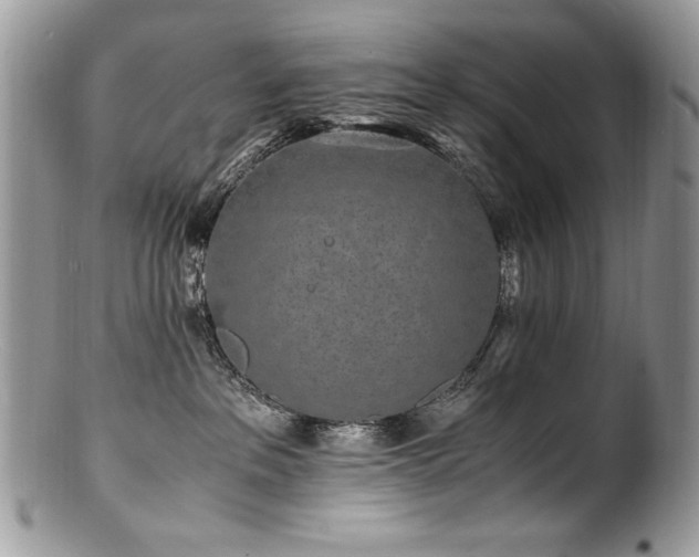 X0000100850237200806201221
